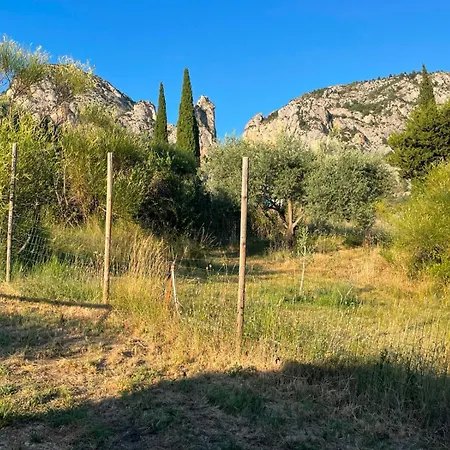Le Patio * Moustiers-Sainte-Marie